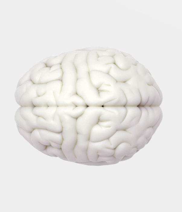 White Brain Image
